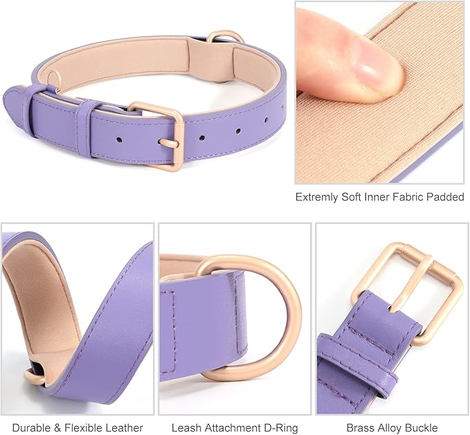 WHIPPY Leather Dog Collar for Small Medium Large Dog Adjustable Soft Breathable Leather Padded Puppy Collar with Alloy Buckle Heavy Duty Waterproof Classic Dog Pet Collar,Purple,M