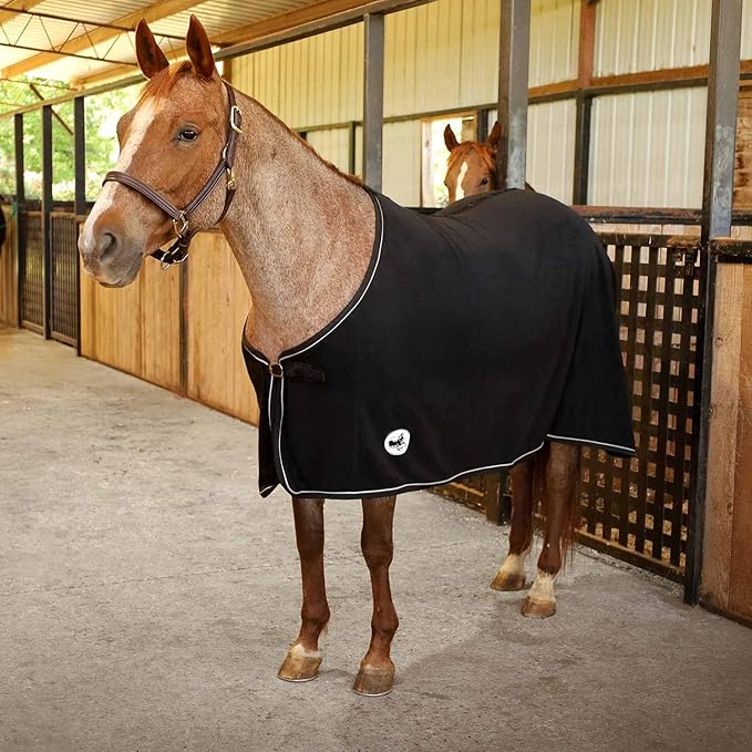 Jeffers Equine Elite Fleece Horse Cooler Blanket, 78 Inch – Soft, Adjustable Fit, Lightweight, Easy Care, Moisture Wicking Cooling Sheet with Surcingle for Post Exercise, Travel for Horses – Black