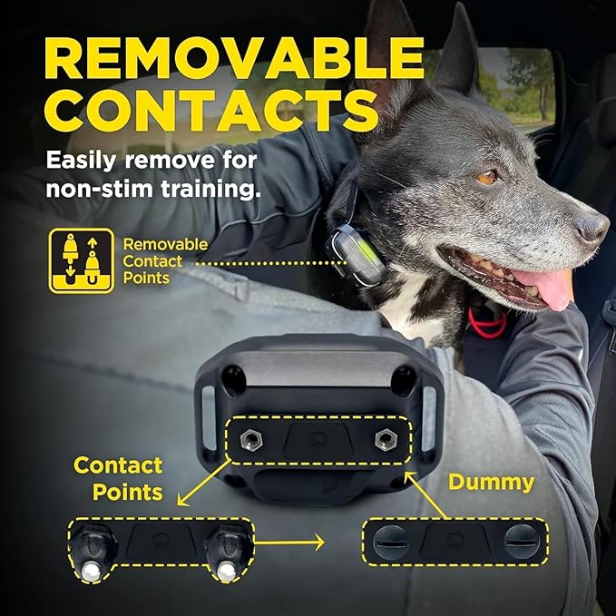 Dogtra 280X E-Collar Additional Receiver 10 lbs+, 1/2 Mile Range, LED Light, 100 Levels of Precise Control for Stubborn Dogs, Waterproof, Boost for Quick Recall, Vibration, Safety Lock & Tone