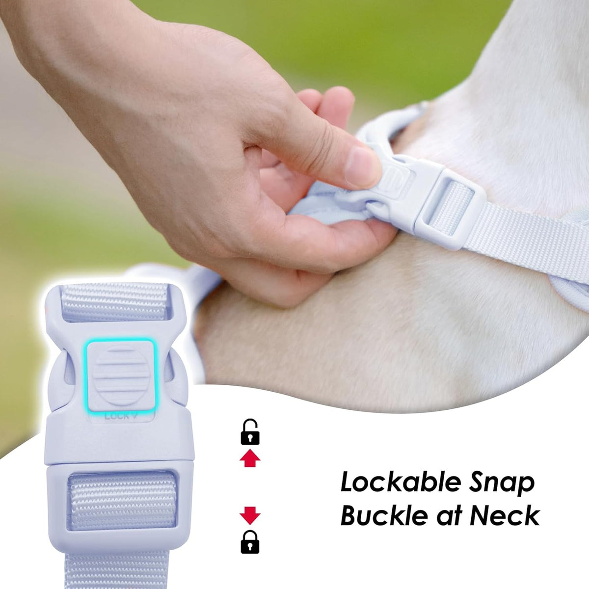 No Pull Dog Harness, Puppy Vest with Front Clip for Small Medium Large Sized Dog(Light Blue,L)