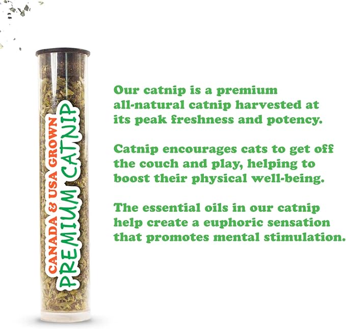 Meowijuana Get Spooked Bundle | Pumpkin Refillable Toy and Harvest Moon Blend | Promotes Play and Cat Health | Includes North American Organic Catnip