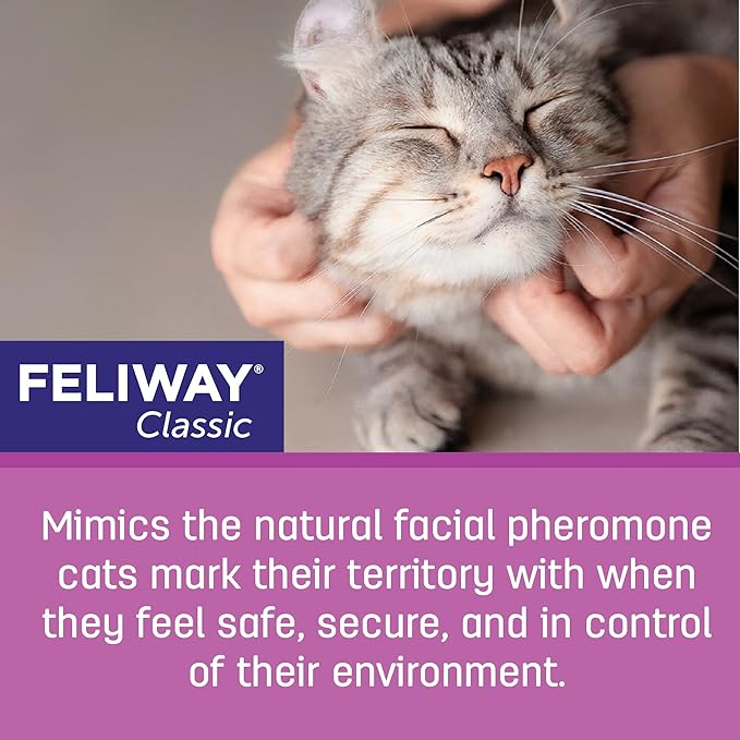 FELIWAY® Classic 6 x 30 Day Cat Calming Refills for Pheromone Diffuser, 6 x 48ml Value Pack - Helps Reduce Common Signs of Stress in Cats & Kittens, Enhanced Calming