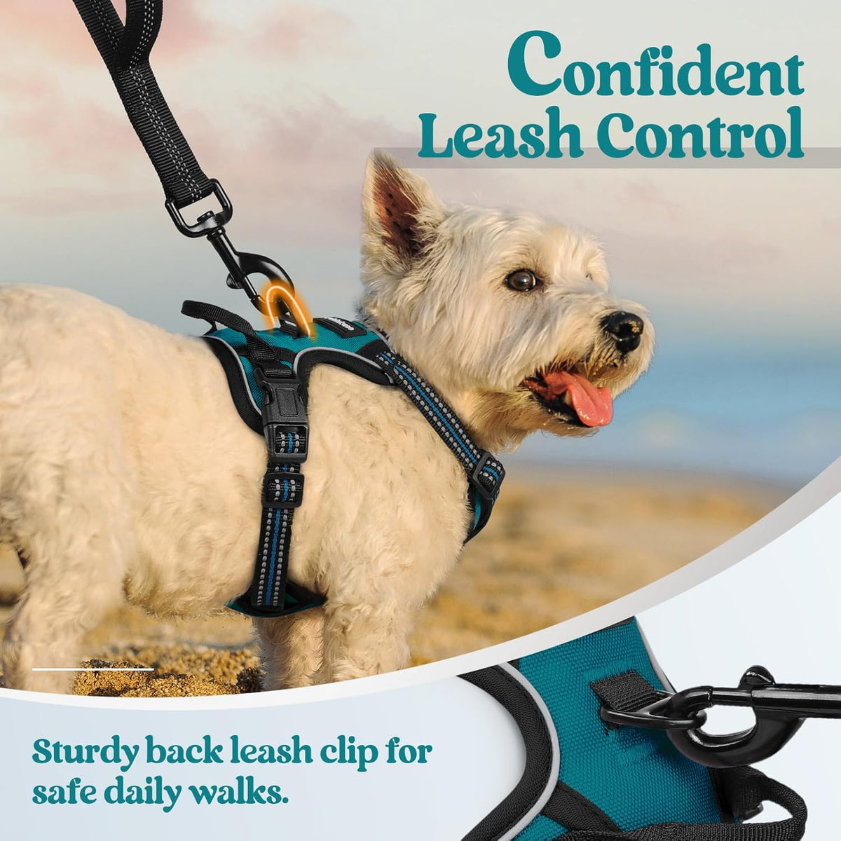 rabbitgoo Dog Harness No Pull with 2 Leash Clips, Adjustable Soft Padded, Reflective Oxford No Choke Pet Vest with Easy Control Handle for Puppy, Blue Coral, XS