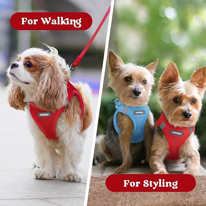 rabbitgoo Small Dog Harness, Step-in Soft Mesh Puppy Vest with Safety Buckle, Breathable Reflective Pet Harness for Extra Small Dogs, Red XXS