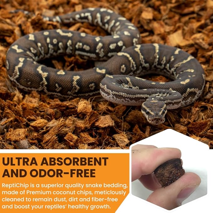 ReptiChip Reptile Bedding Loose Coconut Chip 6 Quart Coco Husk Substrate Mulch for Snake Habitat, Ball Python Terrarium, Turtle Tanks, Tortoise Enclosure
