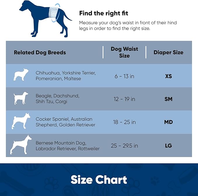 American Kennel Club Male Dog Wrap, Disposable Diapers with Wetness Indicator, Medium, 50 Count