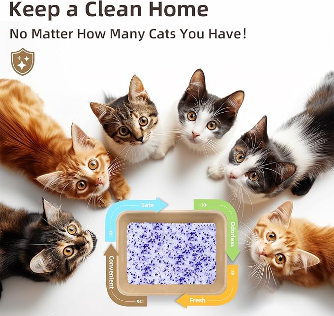LaSyL Premium Crystal Cat Litter - 8.6 lb, Two Months Lasting - Superior Odor Control & Absorption, Non-Clumping, Low Tracking Silica Gel Safe for Pet, White & Blue (2 Bags of 4.3 lb)