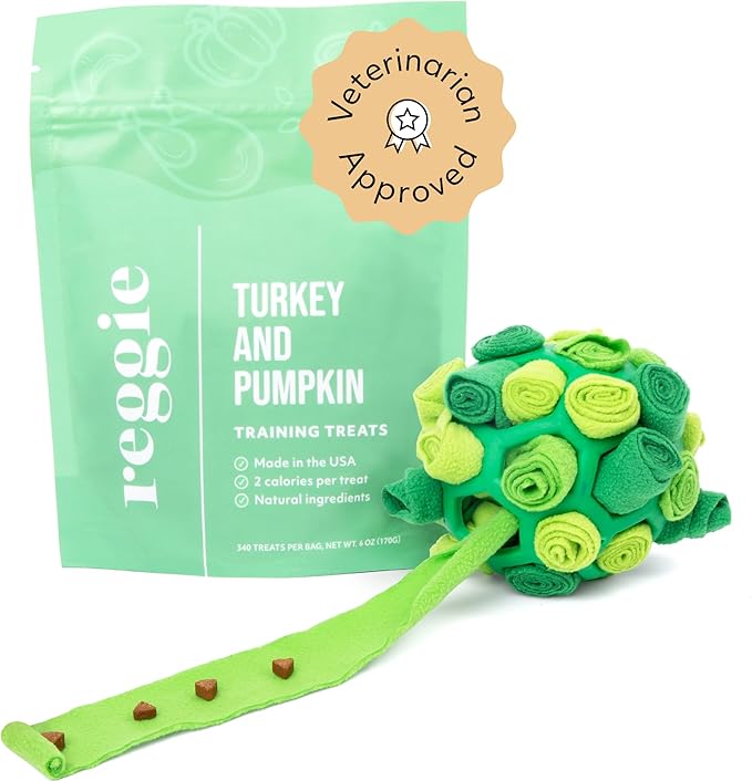 Reggie Forager Ball for Dogs | Mealtime Enrichment Toy | Reduces Boredom, Hyperactivity, Stress | Vet-Approved & Ideal for All Ages, Breeds, and Sizes (Forager Ball - Turkey & Pumpkin)