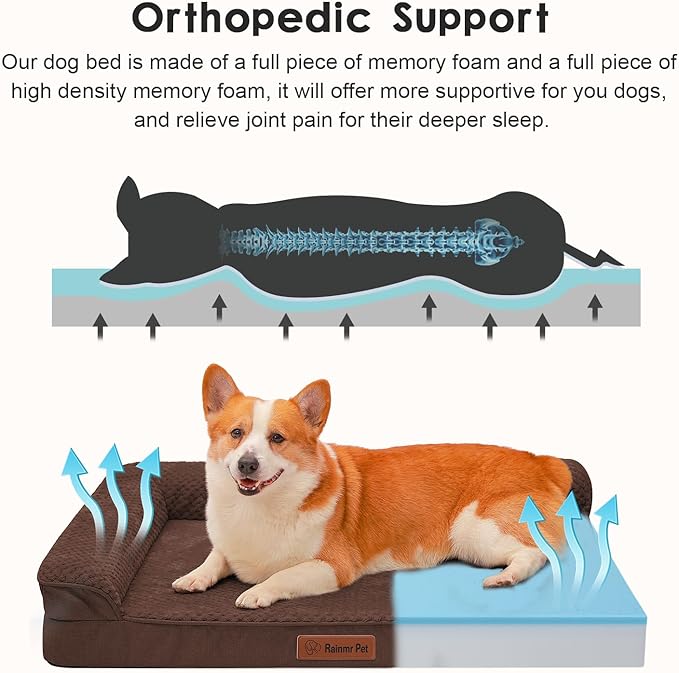 Orthopedic Dog Beds Large Sized Dog, 3 Inch Memory Foam Pet Bed for Medium and Large Dogs, Washable Removable Cover, Nonskid Bottom, Waterproof, 36x27 Inches L Brown Grey