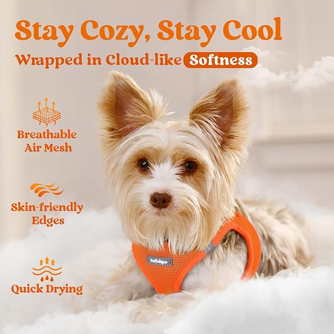 rabbitgoo Small Dog Harness, Step-in Soft Mesh Puppy Vest with Safety Buckle, Breathable Reflective Pet Harness for Small Medium Dogs, Orange L