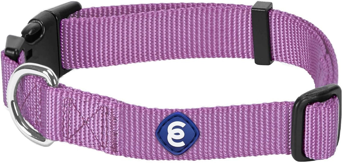 Blueberry Pet Essentials Matching Small Dog Collar | Adjustable Classic Solid Color Nylon Dog Collars for Small Dogs | Purple Dog Collar for Small Dogs
