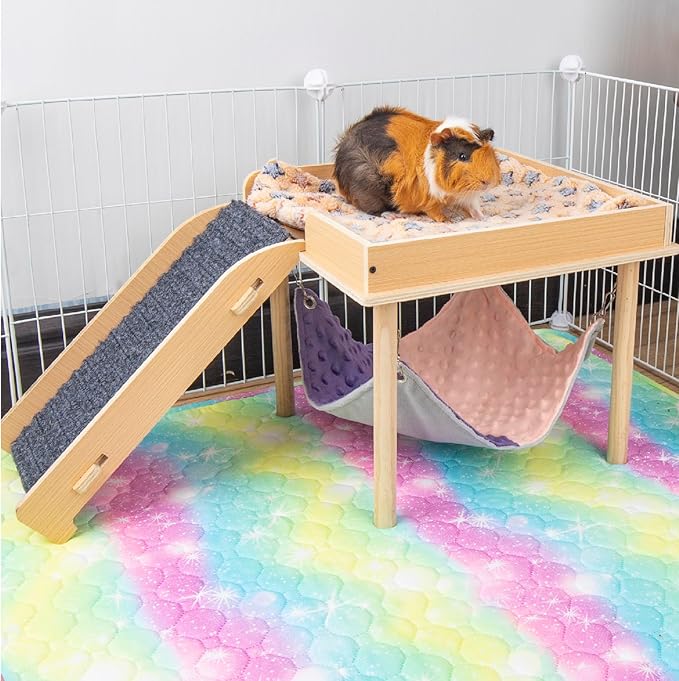 Enlarged Guinea Pig Hammock with Platform and Stairs,Wooden Small Animal Hideout for Guinea Pigs Bunny Ferret Hamster Hiding Sleeping Activities(Single)