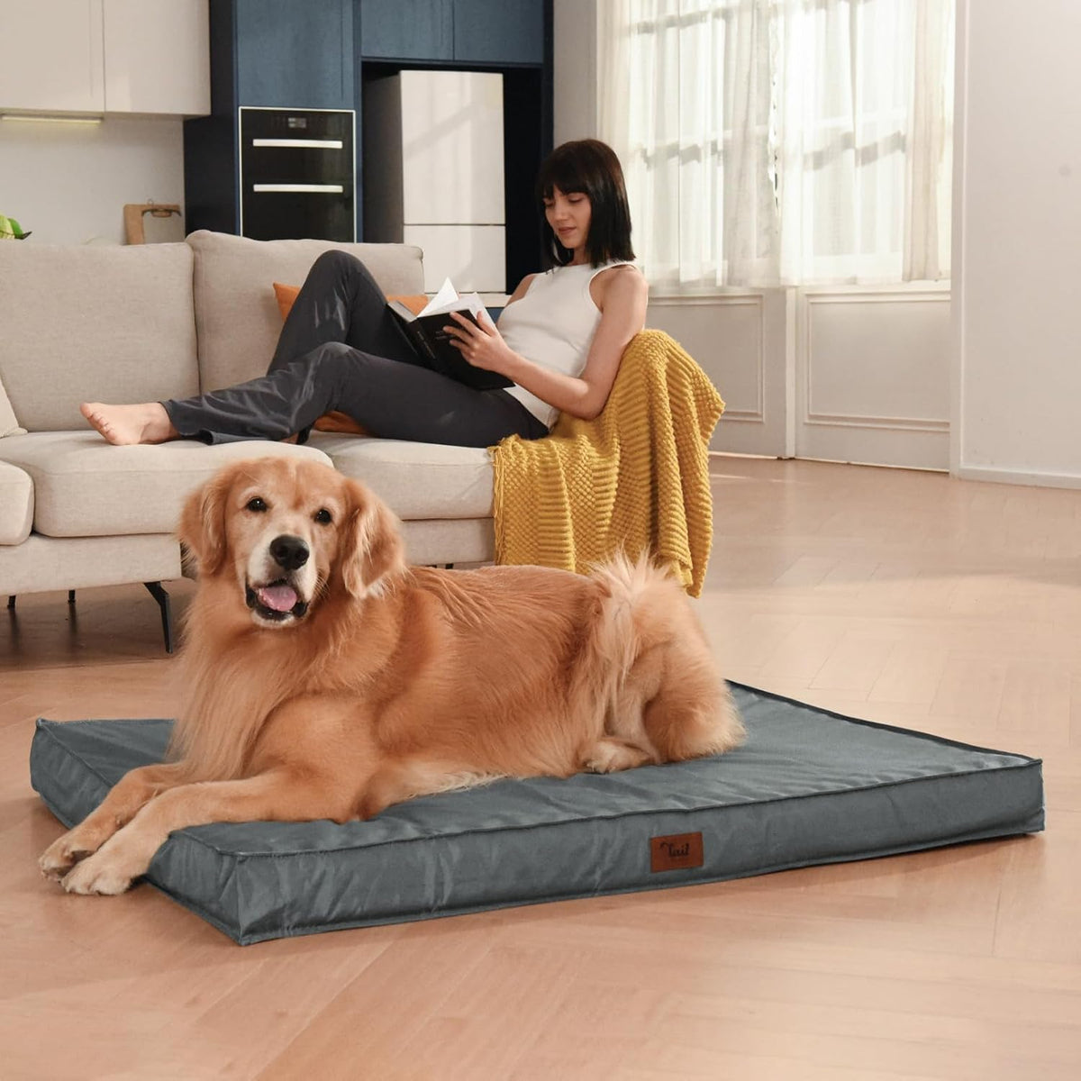 Outdoor Dog Bed for Small Dogs, Waterproof Dog Crate Bed for Small Dogs, Orthopedic Egg Crate Foam Puppy Beds with Washable and Removable Oxford Cover, Grey