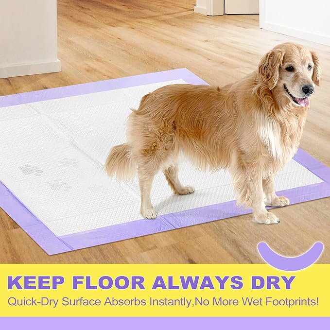 MIZOK Dog Pee Pads 30x36in, Pee Pads for Dogs XL Lavender Scented Odor Eliminating Super Absorbent Up to 10 Cups with 6-Layer Leak-Proof Quick-Dry Purple (40 Counts)