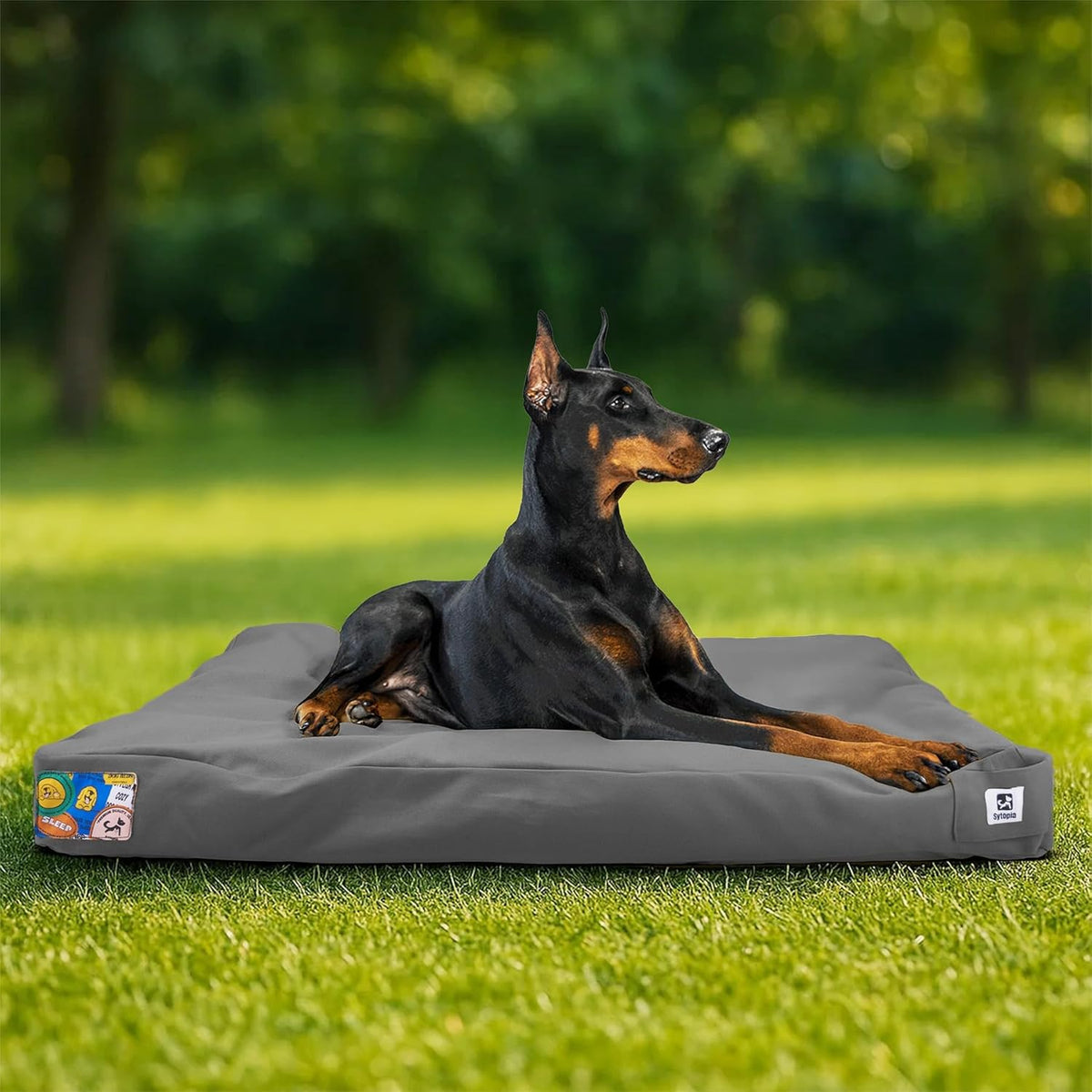 Sytopia 42-Inch Canvas Indestructible Outdoor Dog Bed, Waterproof & Washable Removable Cover, Ideal for Medium & Large Dogs, Chew-Proof Great for Indoor, Outdoor, Crate, Patio Use (Dark Grey)