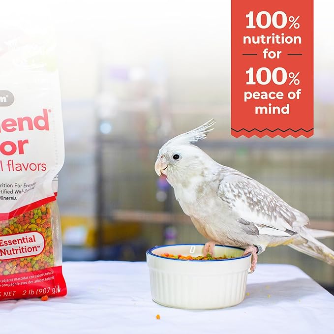 ZuPreem FruitBlend Bird Food, Bird Feed Pellets for Cockatiel, Lovebird, Quaker, Small Conure, Lorikeet, Core Nutrition with Natural Fruit, Cockatiel Food, Conure Feed, (Medium, 10 lb Bag)
