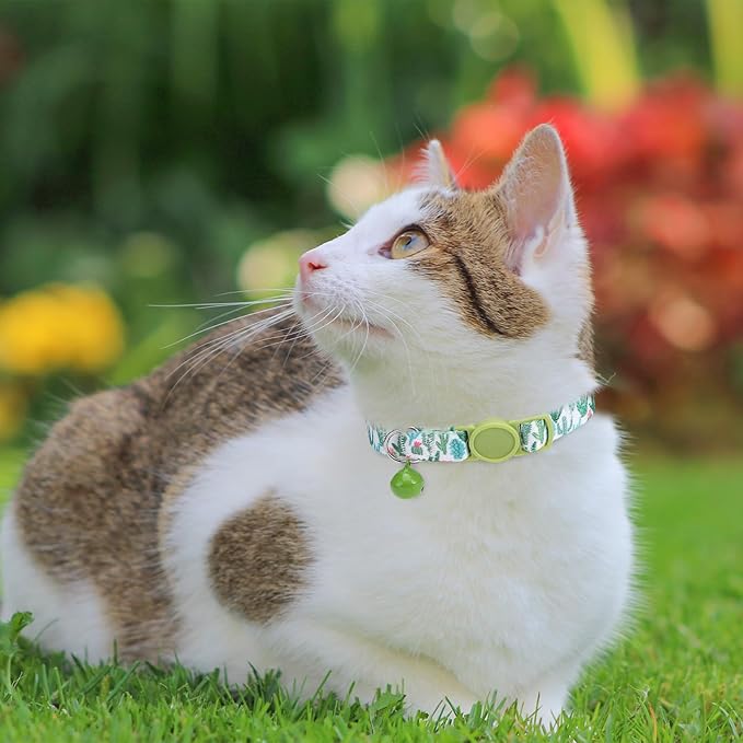 SCENEREAL Breakaway Cat Collar with Bells, Safety Buckle Soft Adjustable Cats Collars for Spring Summer Daily Wearing, Kitten Puppy Pink Personalised Collars for Dogs Girl Boy