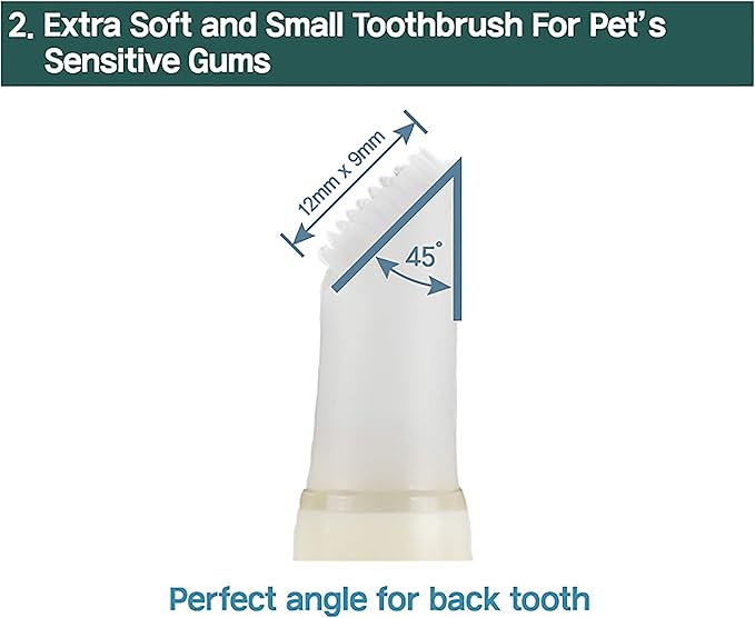 Cat Toothbrush & Toothpaste Kit – Flavor-Free Dental Gel for Cats – Finger Brush & Handle for Daily Oral Care – Plaque & Tartar Cleaning for Kittens and Adult Cats (1 Count, 1 Pack)