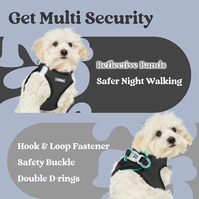 rabbitgoo Small Dog Harness, Step-in Soft Mesh Puppy Vest with Safety Buckle, Breathable Reflective Pet Harness for Small Medium Dogs, Black L