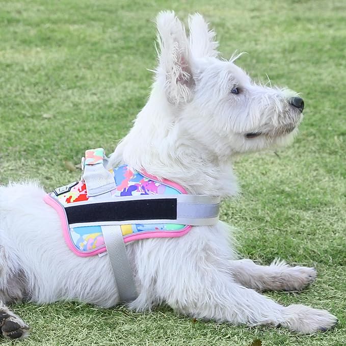 Bolux Dog Harness, No-Pull Reflective Dog Vest, Breathable Adjustable Pet Harness with Handle for Outdoor Walking - No More Pulling, Tugging or Choking (Medium (Pack of 1), OilPainting)