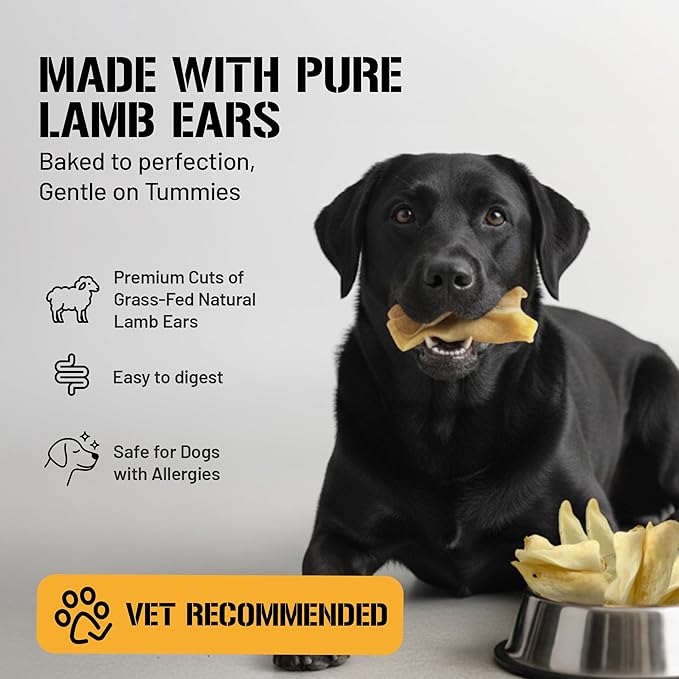 Dog Chits Lamb Ears for Dogs – 100% Natural Baked Lamb Ear Dog Treats – Grain-Free, High Protein, Lower Fat Training Chews – Dental Health & Joint Support – for Medium and Small Pups – 35 Pack