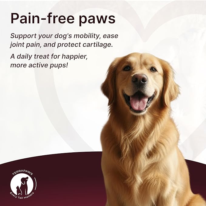 Hip & Joint Supplement for Dogs – Mobility Support with Glucosamine, Chondroitin, MSM, Turmeric, Mussel, Hemp Dog Joint Pain Relief – 120 Soft Chews for Large, Medium, Small Dogs Breeds– Beef Flavor