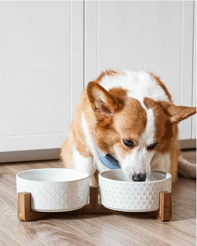LE TAUCI Dog Bowl Set with Acacia Wood Stand - 1.5-Cup Ceramic Puppy Bowls for Small Dogs, Dual Food and Water Bowls with Weighted Non-Slip Base, Clover