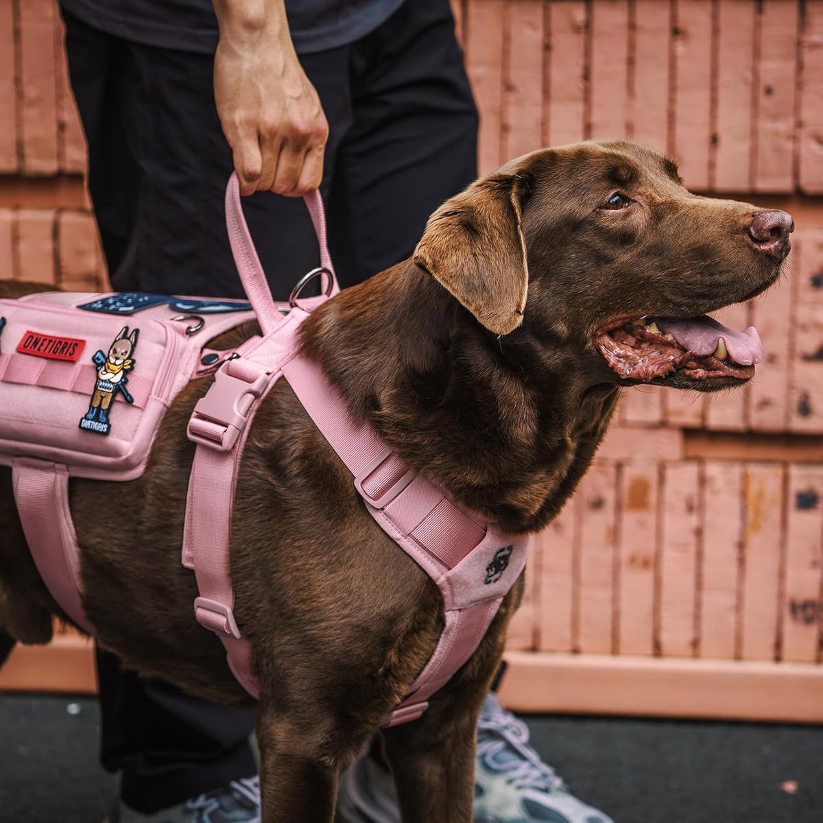 OneTigris Service Dog Vest Harness, Service Dog Cape Guardian Dog Backpack Harness with Pouches Dog Saddle Bag for Small Medium and Large Dogs (Pink, Large)