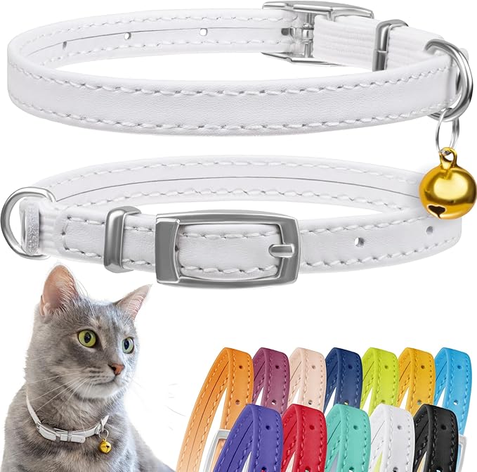 CollarDirect Leather Cat Collar with Bell - Kitten Collar, Small and Big Cat Collar for Boy Cats, Girl Cats with Safety Elastic Strap (Neck Fit 6"-7", White)
