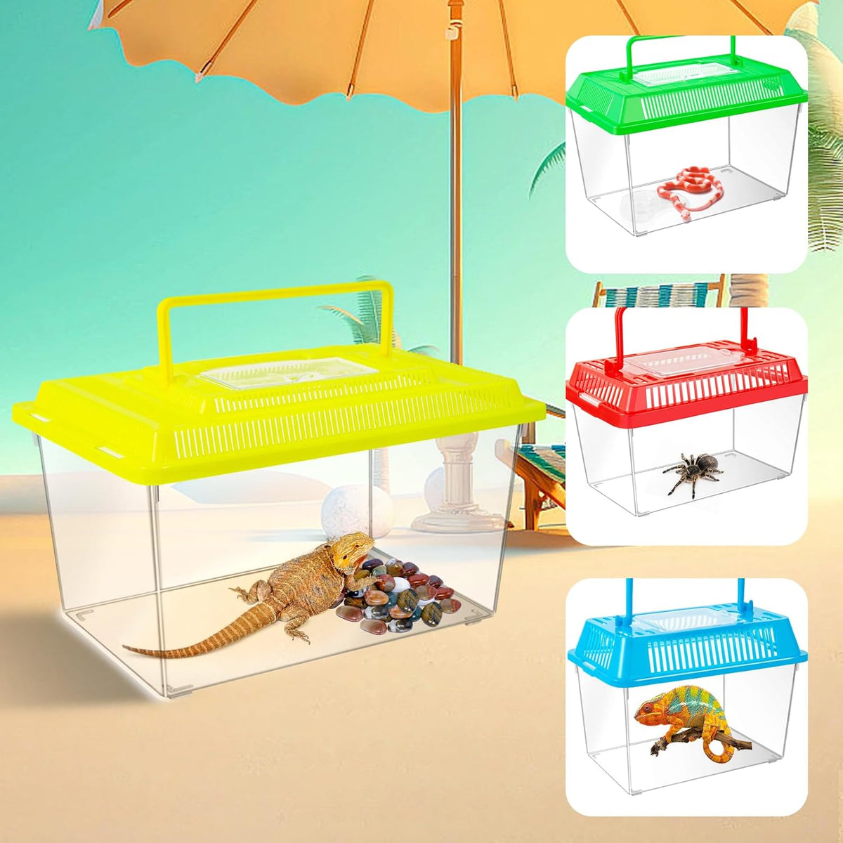 12Pcs Plastic Reptile Terrariums Carrier Cage, Tarantula Enclosure Breeding Box Hatching Container Transparent Fish Tank Turtle Aquarium with Random Color Lid for Hermit Crab, M(7" x 4.3" x 4.3")