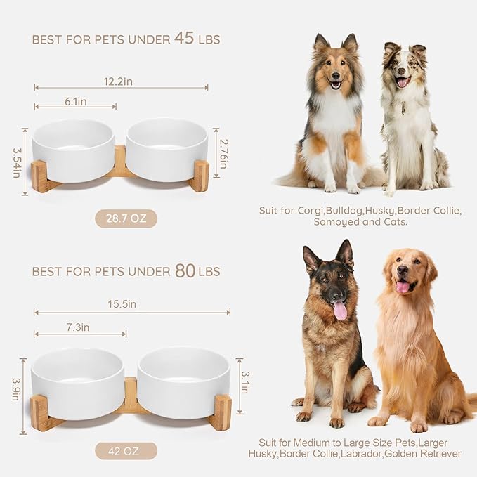 SPUNKYJUNKY Ceramic Dog and Cat Bowl Set with Wooden Stand, Modern Cute Weighted Food Water Bowl Set for Medium to Large Size Dogs (42 OZ, 2 × White)