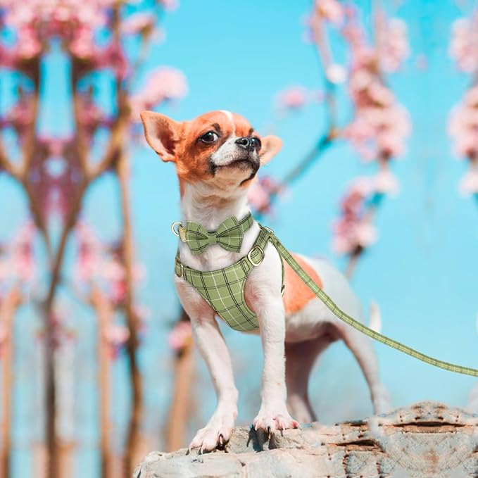 Beirui Cute Extra Small Dog Harness Collar and Leash Set with Bowtie, Soft Adjustable Plaid Puppy Harness for Small Sized Dogs Cats Walks Parties and Photoshoots(Green,XXS:Chest 12-14")