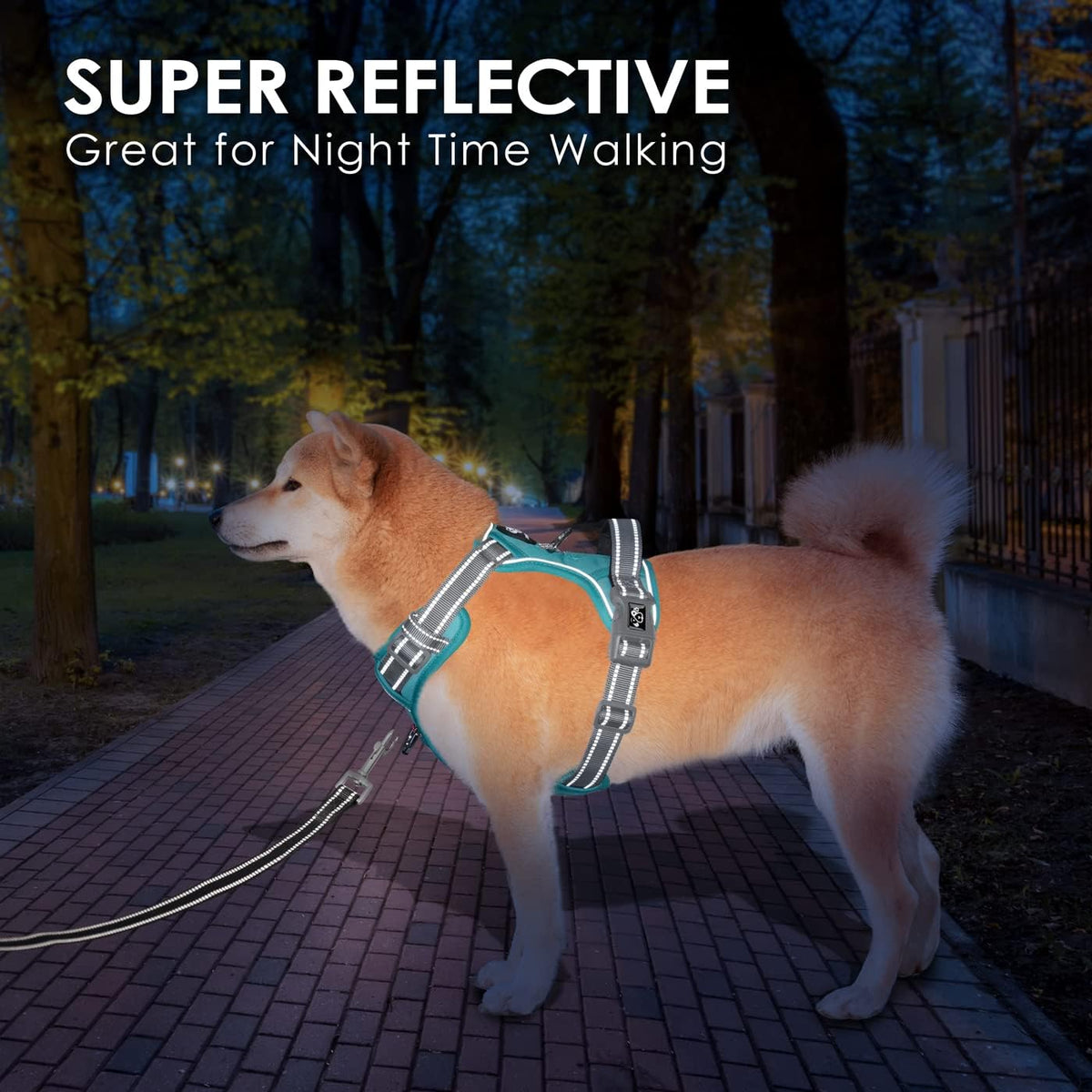 PHOEPET No Pull Dog Harness, Unique Colors Reflective Adjustable Dog Vest, with Soft Training Handle Metal Clips for Small Medium Large Dogs (Mint Green Base & Grey Straps,L)