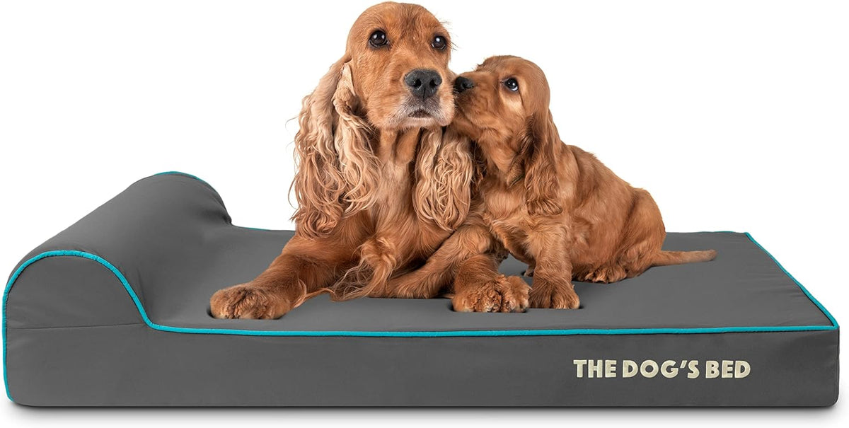 The Dog’s Bed Orthopedic Headrest Dog Bed Large Grey with Blue Trim, Memory Foam, Pain Relief for Arthritis, Hip & Elbow Dysplasia, Post Surgery, Veterinary Approved, Waterproof Washable Cover