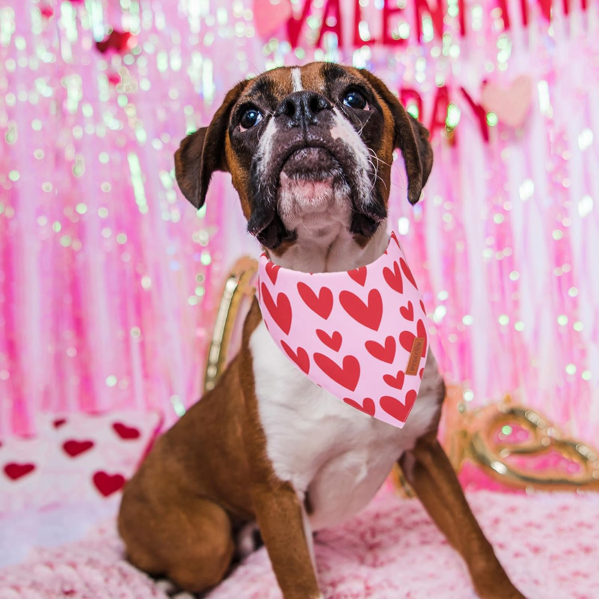 PTDECOR Valentine Dog Bandana, Reversible Valentine Pet Scarf, Multi Size, Red Heart Bandanas for Medium Large Dogs (Large)