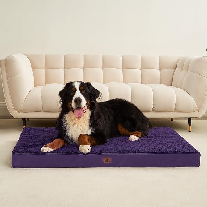 EHEYCIGA Orthopedic XXL Dog Beds for Jumbo Dogs with Removable Washable Cover, Purple, 50x36