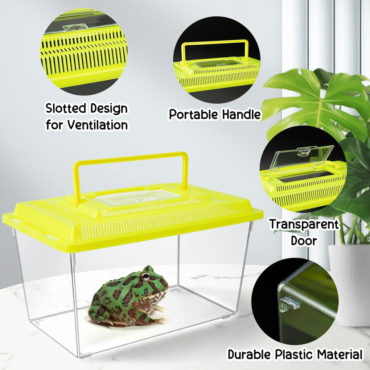 12Pcs Plastic Reptile Terrariums Carrier Cage, Tarantula Enclosure Breeding Box Hatching Container Transparent Fish Tank Turtle Aquarium with Random Color Lid for Hermit Crab, M(7" x 4.3" x 4.3")