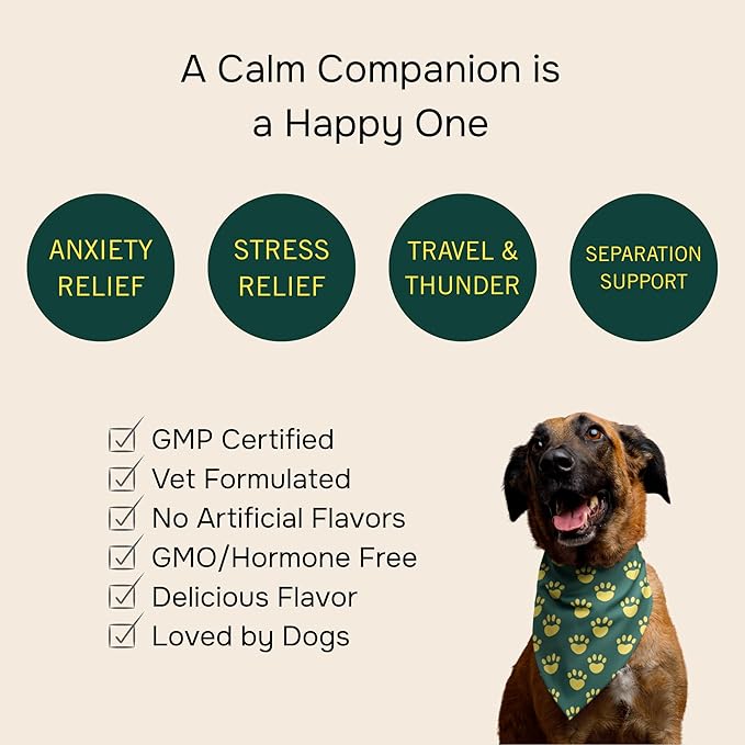 PetMeds Calm Supplement for Dogs - Anxiety & Stress Relief with Vitamins, Theanine & Lemon Balm - Supports Dogs During Travel, Thunder & Separation - Beef & Sweet Potato Flavor - 60 Soft Chews