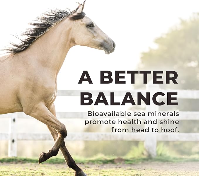 Redmond Daily Red | Horse Vitamins and Minerals Supplement