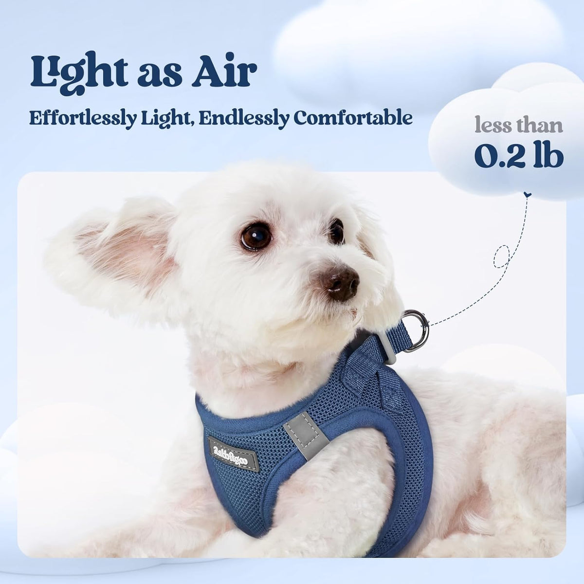 rabbitgoo Dog Harness Small Sized and Leash Set, Step in Soft Light Puppy Vest, Breathable Mesh Pet Harness, Reflective for Outdoor Safe Walking, Navy Blue XL