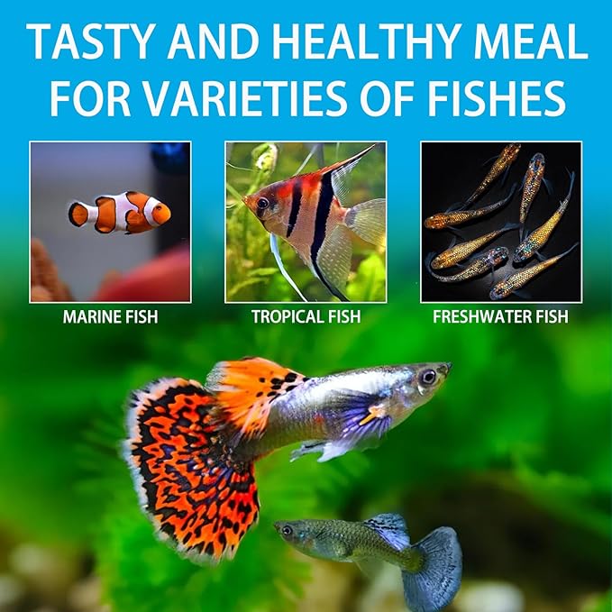Brine Shrimp Fish Food, Ready to Use Aquarium Fish Food, Non-Living Instant Food for Betta Saltwater Marine Freshwater Fish (Adult Brine Shrimp)