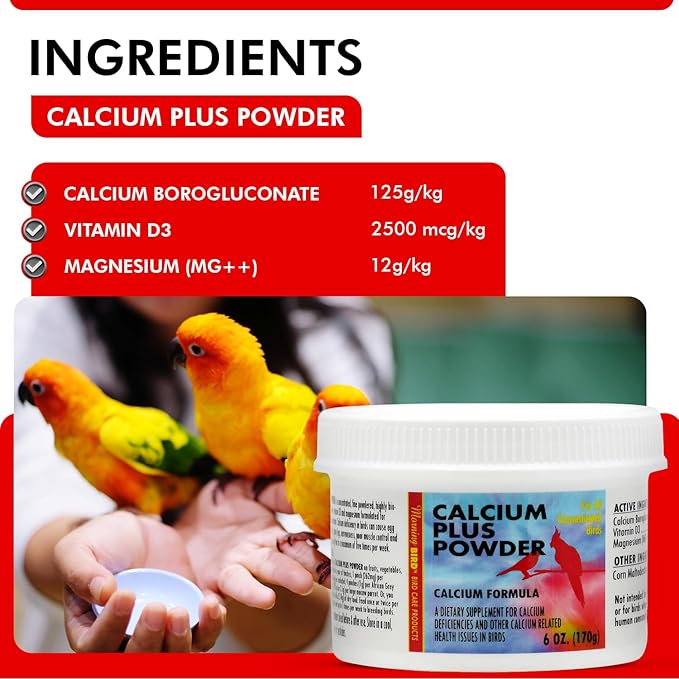 Morning Bird Calcium Plus Powder for Birds 6 oz – Calcium Carbonate Powder with Magnesium Glycinate & Vitamin D – Bone Strength & Immune Support Supplement – Calcium Formula for All Bird Sizes