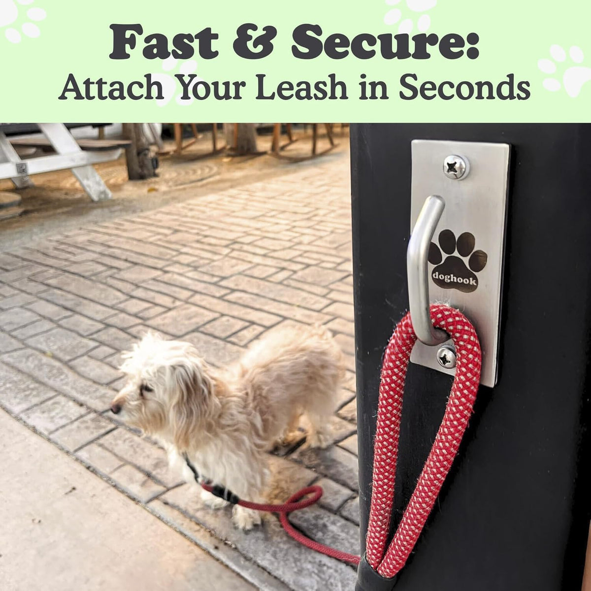 Canine Hitch- Secure Dog Leash Parking Mounted Indoor – Outdoor Wall Hook - Tie Out Stainless Steel Practical Lead Management for Home & Business, Standard Size 2 Pack