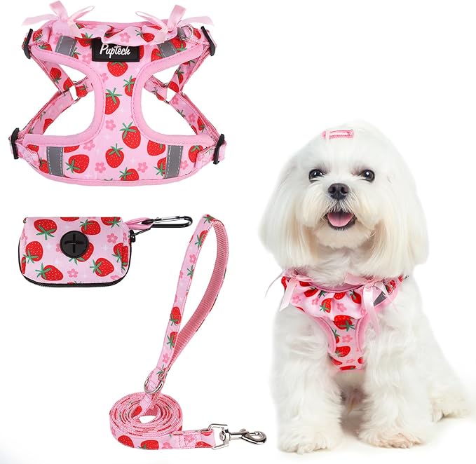 PUPTECK Dog Harness and Leash Set Small Sized, Step in No Pull Adjustable Puppy Cat Harness Reflective Pet Vest