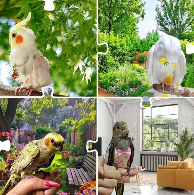 5 Pcs Bird Diapers Bird Harness Flight Suits Diapers Reusable Parrot Nappy with Waterproof Inner Layer Washable Cute Urine Wet Suit for Cockatiel Budgie Conure Macaw Parakeet Lovebird,S