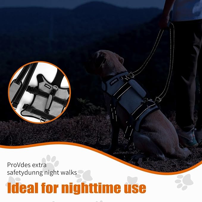Ayquez Dog Lift Harness with Storage and Transport Bag, Dog Harness with Handle for Lifting & Hip dysplasia, arnés para Perros pequeños, pechera para Perros Gray, S