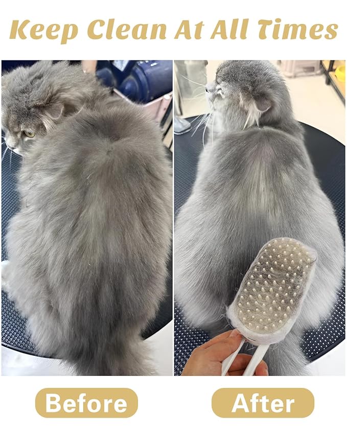 6 in 1 Cat Steam Brush for Shedding, Portable Anti-Static Grooming Comb for Cats & Dogs, Steam Misting Water Brush, Self-Cleaning Pet Hair Remover, Indoor Cat Spray Brushes for Cats & Dogs