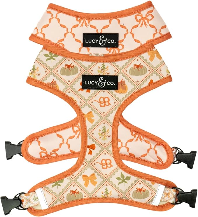 Lucy & Co. Cute Reversible Dog Harness Walking Halter - Best Designer Pet Harnesses for XS - XL Dogs - Padded Adjustable Vest for Easy Walking-X-Small-Orange Cream Pumpkin