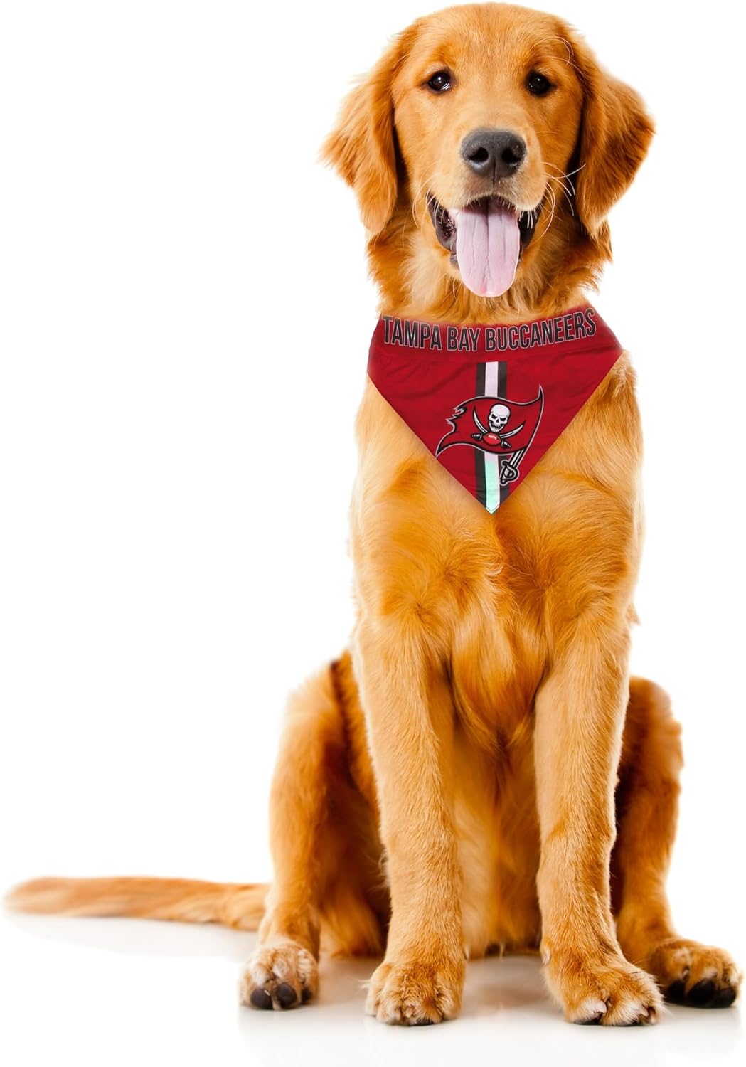 Littlearth NFL Pet Bandana - Reversible