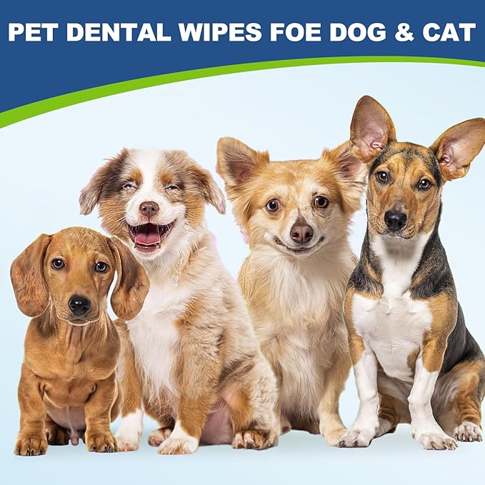 Dog Dental Care Finger Wipes, 60 PCS Teeth Cleaning Wipes for Dogs & Cats, Tooth Brushing Kit Dental Wipes Reduces Plaque & Freshens Breath, Disposable Gentle Cleaning & Gum Care Pet Wipe